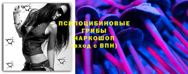 стафф Баксан