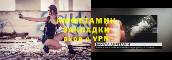 прущие грибы Балабаново