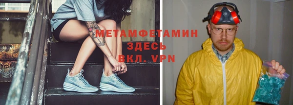 прущие грибы Балабаново