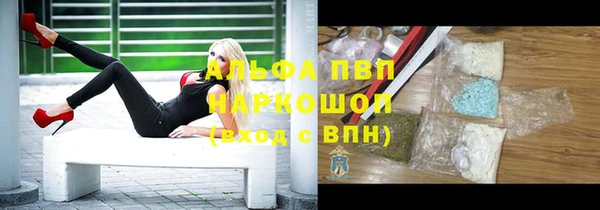 PSILOCYBIN Балахна