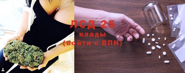 прущие грибы Балабаново