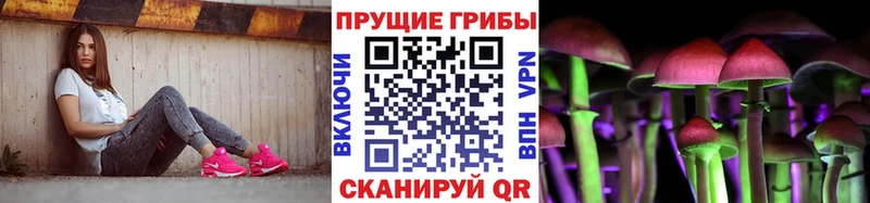 Псилоцибиновые грибы мицелий  ОМГ ОМГ онион  Лесной 