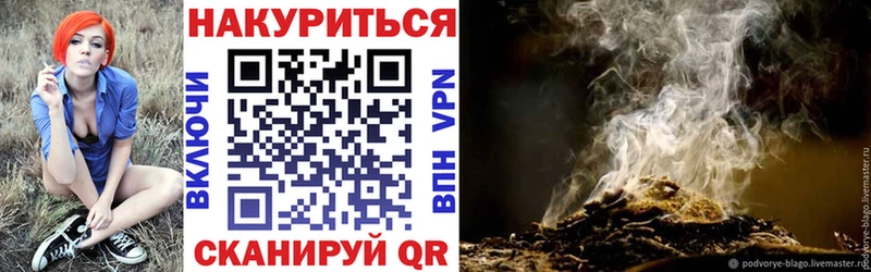 Конопля конопля  Лесной 
